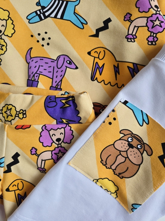 20241108_125054.jpg