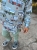 image00029 (13).jpeg