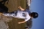 image00037.jpeg
