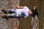 image00028.jpeg