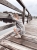 D36464E7-CA99-4D8B-968C-F90495BAD201.jpeg