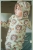 IMG_3215.jpeg