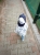 20190905_142333-01.jpeg